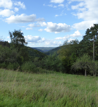 Jakobswanderweg 2. Etappe | © Liebliches Taubertal