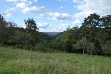 © Liebliches Taubertal