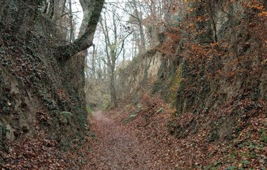 Jubiläums-Tour Kraichtal | © Land der 1000 Hügel - Kraichgau-Stromberg