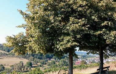 Jubiläums-Tour Kraichtal | © Stadtverwaltung Kraichtal