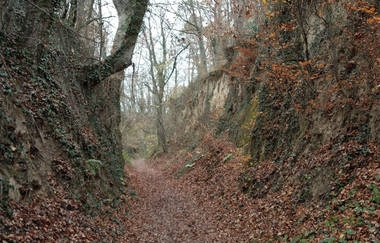 Jubiläums-Tour Kraichtal | © Land der 1000 Hügel - Kraichgau-Stromberg