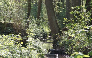 K1 - Kraichtal-Oberöwisheim Familienwanderweg | © Stadtmarketing Kraichtal