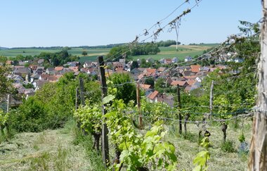 K2 - Kraichtal-Menzingen Familienwanderweg | © Stadtmarketing Kraichtal