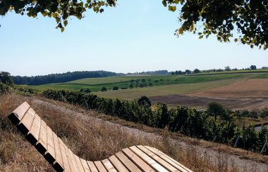 K9 - Kraichtal Zu Fuß! | © Stadt Kraichtal