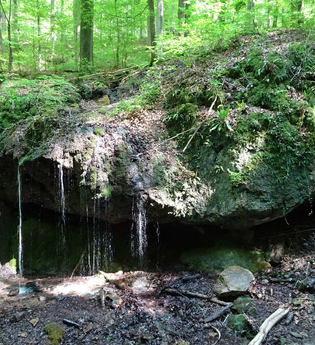 Kalksbrunnen in Pfedelbach | © Stadt Pfedelbach