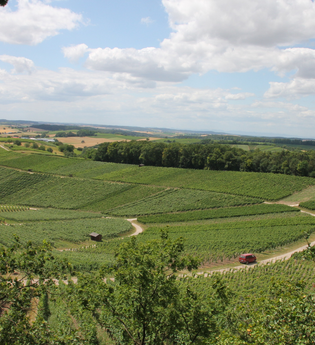 KB2 - Eppinger Linien Rundweg | © Land der 1000 Hügel - Kraichgau-Stromberg