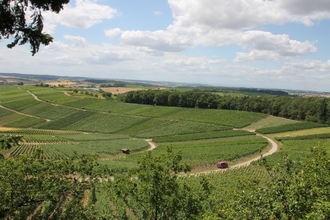 KB3 - Kürnbach-Eppinger Linien Rundweg (kurz) #Schwarzrieslingdorf | © Land der 1000 Hügel - Kraichgau-Stromberg