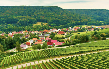 Der Ort Geddelsbach wird von Weinbergen und Wald umrahmt | © Hohenloher Perlen