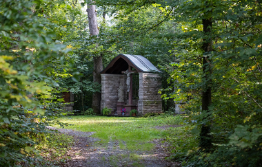 Kirschblütenweg Assamstadt | © Unbekannt