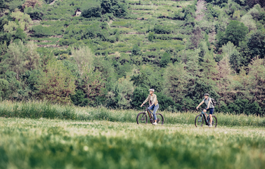 Weinberge und Steinriegel bei Möckmühl | © Touristikgemeinschaft HeilbronnerLand e.V.