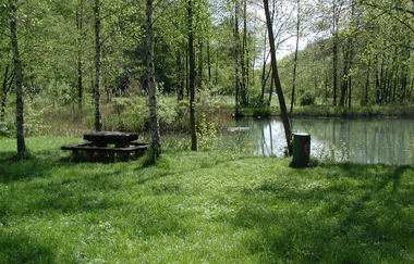 Rastplatz am Henkersbrunnensee | © Widdern