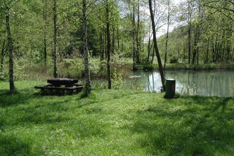 KJ13 Widdern-Unterkessach-Rundweg | © Touristikgemeinschaft HeilbronnerLand e.V.
