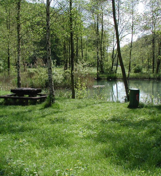 KJ13 Widdern-Unterkessach-Rundweg | © Touristikgemeinschaft HeilbronnerLand e.V.