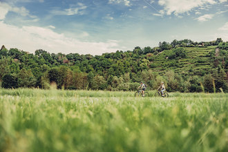 Weinberge und Steinriegel bei Möckmühl | © Touristikgemeinschaft HeilbronnerLand e.V.