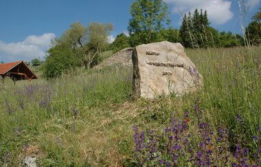 Naturschutzgebiet Essigberg/Hörnle | Roigheim | HeilbronnerLand | © Touristikgemeinschaft HeilbronnerLand