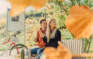 Rastplatz "Weinpergola am Burgberg" - Nähe Burgruine Weibertreu Weinsberg | HeilbronnerLand | © Touristikgemeinschaft HeilbronnerLand e.V.