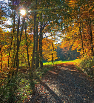 Wanderweg Natur 2 | Hardthausen | HeilbronnerLand | © Gemeinde Hardthausen