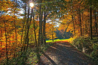 Wanderweg Natur 2 | Hardthausen | HeilbronnerLand | © Gemeinde Hardthausen