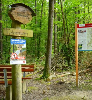 Kleine Böcklingsee-Runde | Neudenau | HeilbronnerLand | © Stadtverwaltung Neudenau