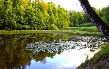 Kleine Böcklingsee-Runde | Neudenau | HeilbronnerLand | © Stadtverwaltung Neudenau
