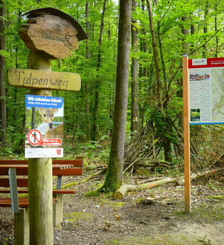 Kleine Böcklingsee-Runde | Neudenau | HeilbronnerLand | © Stadtverwaltung Neudenau