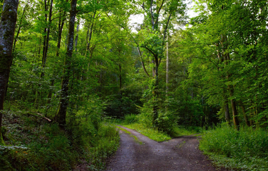 Kleine Böcklingsee-Runde | Neudenau | HeilbronnerLand | © Stadtverwaltung Neudenau