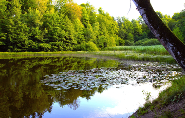 Kleine Böcklingsee-Runde | Neudenau | HeilbronnerLand | © Stadtverwaltung Neudenau