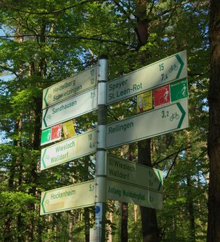 Kleine Hardtwald-Runde | © Landratsamt Rhein-Neckar-Kreis