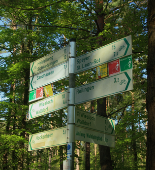 Kleine Hardtwald-Runde | © Landratsamt Rhein-Neckar-Kreis