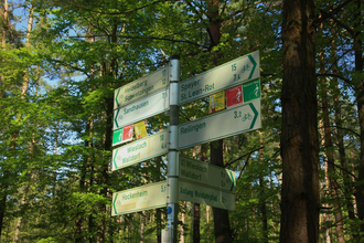 Kleine Hardtwald-Runde | © Landratsamt Rhein-Neckar-Kreis