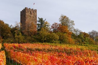Kleine Schloßbergrunde | © Gemeinde Sternenfels
