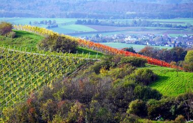 Kleine Schloßbergrunde | © Gemeinde Sternenfels