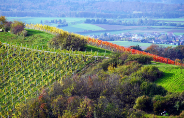 Kleine Schloßbergrunde | © Gemeinde Sternenfels