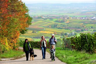 Kleine Weinorte, große Geschichte | © Wandermagazin