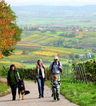 Kleine Weinorte, große Geschichte | © Wandermagazin