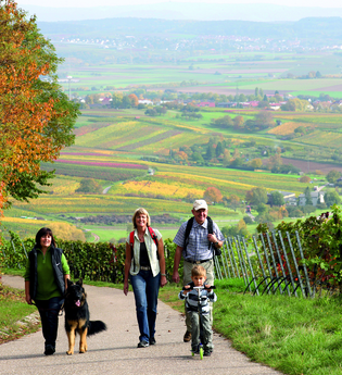 Kleine Weinorte, große Geschichte | © Wandermagazin