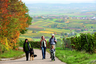 Kleine Weinorte, große Geschichte | © Wandermagazin