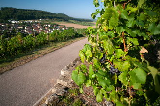 KN1 – Wander3Klang – Knittlingen – Freudenstein und Hohenklingen (große Runde) | © Stadt Knittlingen