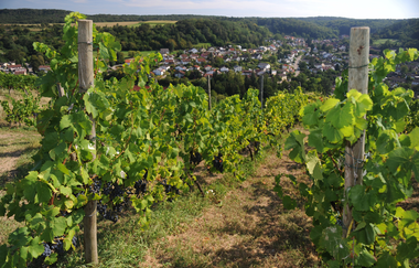 KN1 – Wander3Klang – Knittlingen – Freudenstein und Hohenklingen (große Runde) | © Land der 1000 Hügel - Kraichgau-Stromberg