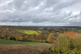 KN2 - vorbei am Aussichtspunkt Horn | © Land der 1000 Hügel - Kraichgau-Stromberg