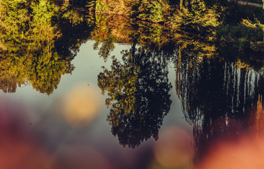 Etappe 3 Spiegelung im Wasser bei Hardthausen am Kocher | HeilbronnerLand | © Arbeitsgemeinschaft Kocher-Jagst-Radweg