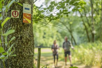 Kocher-Jagst-Trail: Wandern am Jagststeig | © Hohenlohe + Schwäbisch Hall Tourismus e. V.