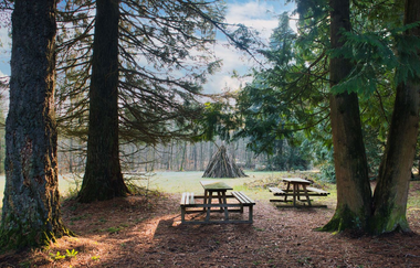Picknickplatz unter Mammutbäumen im Streitwald am Jagststeig | © Hohenlohe Schwäbisch Hall