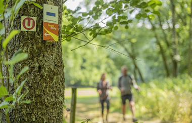 Kocher-Jagst-Trail: Wandern am Jagststeig | © Hohenlohe + Schwäbisch Hall Tourismus e. V.