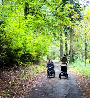 Wandern im Wald | © Freiheitswerke für Naturpark Neckartal-Odenwald