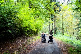 Wandern im Wald | © Freiheitswerke für Naturpark Neckartal-Odenwald