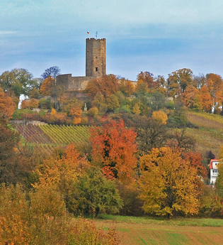 Burg Steinsberg im Herbst | © Stadt Sinsheim