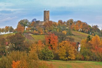 Burg Steinsberg im Herbst | © Stadt Sinsheim