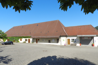 Königs-Rundwanderweg | © Stadt Sachsenheim