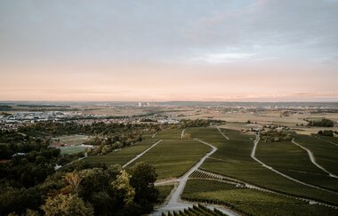 Leingarten Heuchelberger Warte Panorama 2 | © Heuchelberger Warte